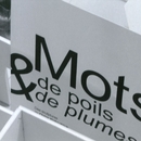 Photographie de l'expositionMots de poils &amp; de plumesd'André Balthazar et Claire Kirkpatrick. Musée Ianchelevici (La Louvière), du 15 mars au 4 mai 2008